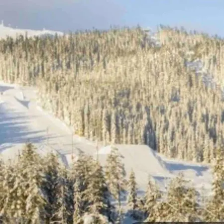 アパート Trysil Alpine Lodge トリシル