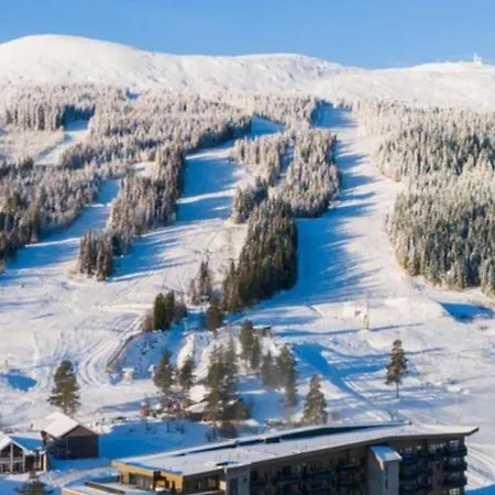 Topp Alpine * Trysil