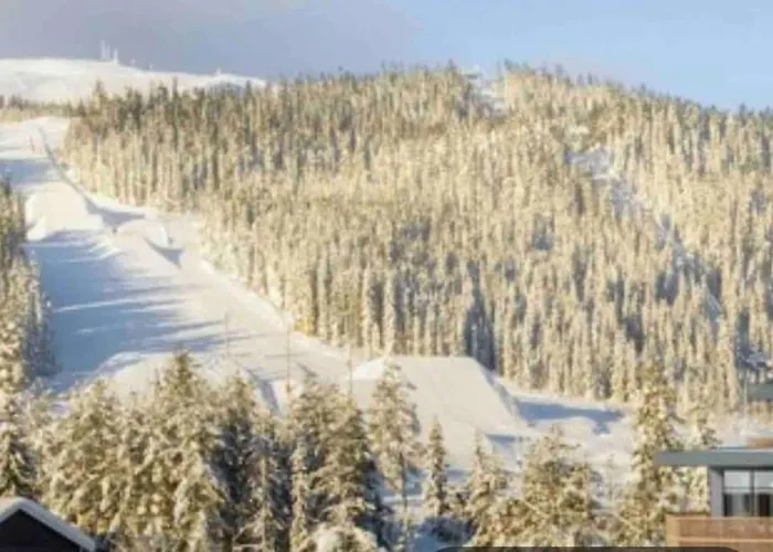 Apartment Topp Alpine Trysil