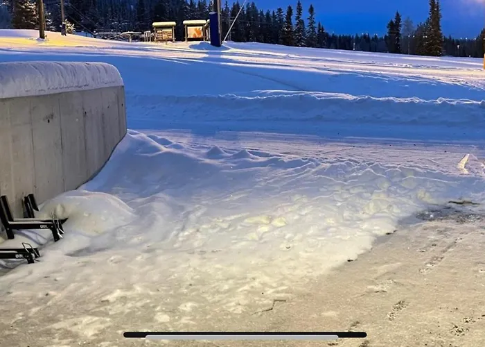 Apartment Topp Alpine *