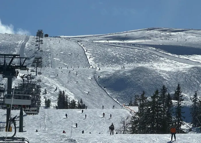 Apartment Topp Alpine